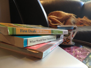 Books on writing processes, including First Draft in 30 Days and What Would Your Charater Do?